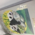 Panda Photo Album_Printing