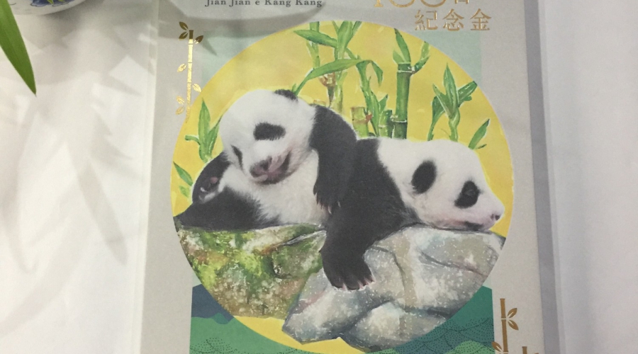 Panda Photo Album_Printing