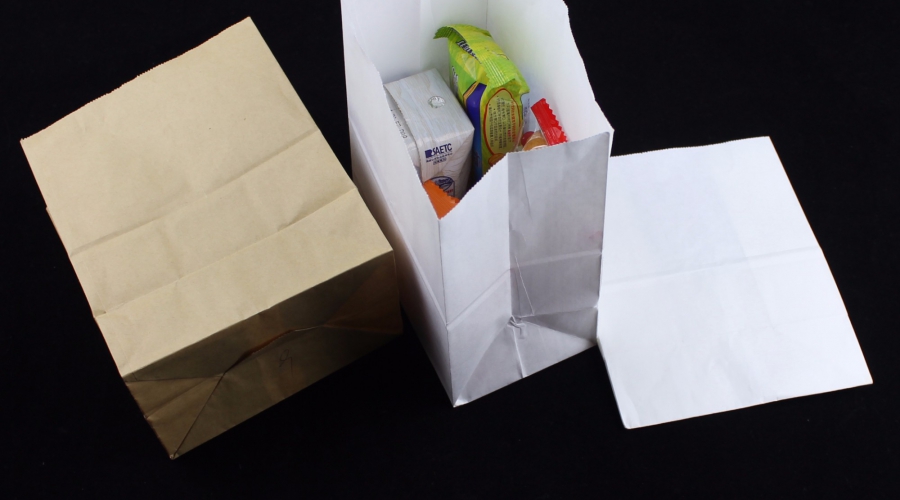 biodegradable paper bags